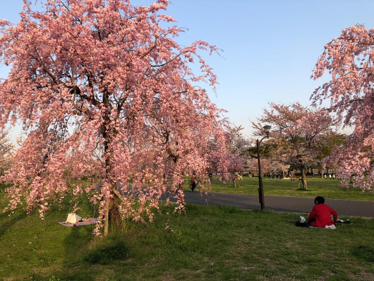 Tokyo Toneri Garden House-Stay ภายนอก รูปภาพ